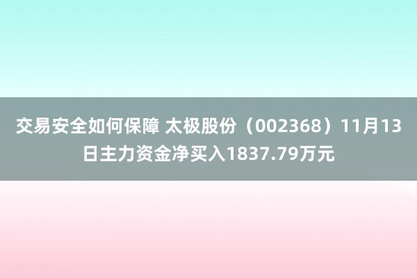 交易安全如何保障 太极股份（002368）11月13日主力资金净买入1837.79万元