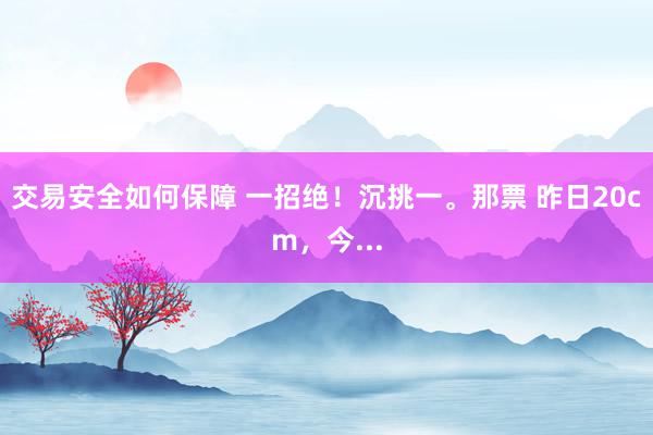 交易安全如何保障 一招绝！沉挑一。那票 昨日20cm，今...