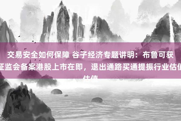 交易安全如何保障 谷子经济专题讲明：布鲁可获证监会备案港股上市在即，退出通路买通提振行业估值