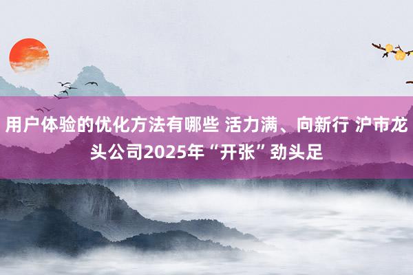 用户体验的优化方法有哪些 活力满、向新行 沪市龙头公司2025年“开张”劲头足