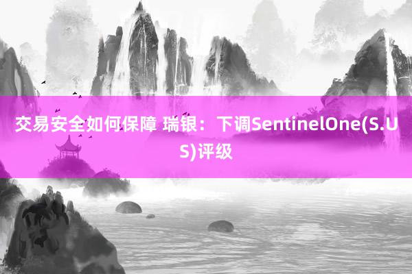 交易安全如何保障 瑞银：下调SentinelOne(S.US)评级