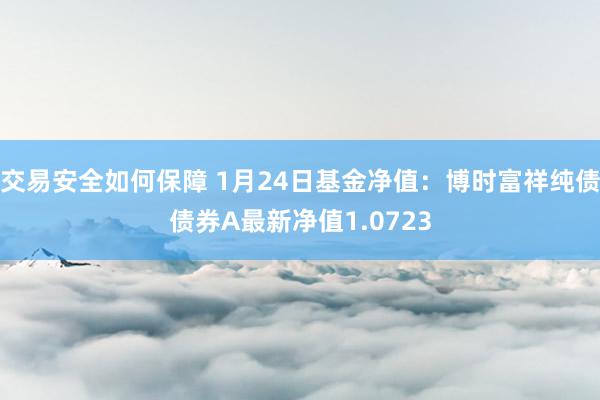 交易安全如何保障 1月24日基金净值：博时富祥纯债债券A最新净值1.0723