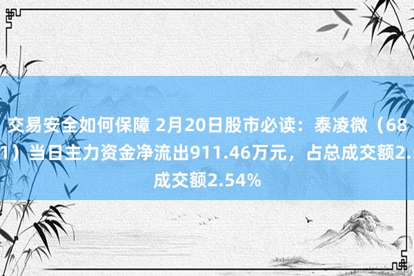 交易安全如何保障 2月20日股市必读：泰凌微（688591）当日主力资金净流出911.46万元，占总成交额2.54%