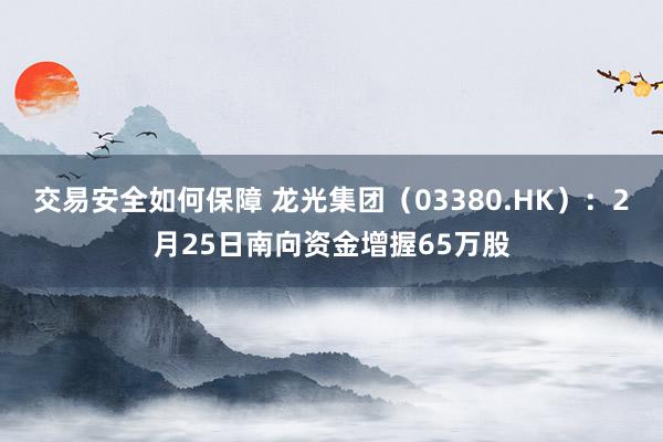 交易安全如何保障 龙光集团（03380.HK）：2月25日南向资金增握65万股