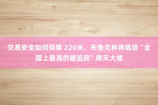 交易安全如何保障 220米，布鲁克林将栽培“全国上最高的被迫房”摩天大楼